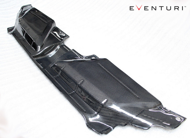 Eventuri Carbon Fibre Slam Panel Cover- Audi RS5 (B8) 4.2FSI