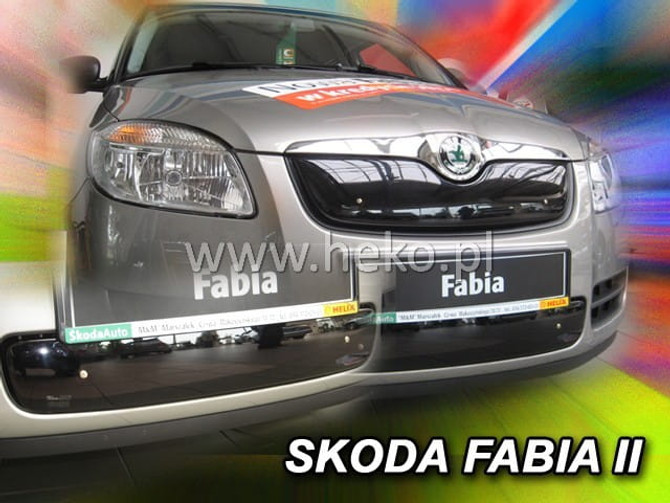 Team Heko Winter Cover - SKODA ROOMSTER 2006 - 2010 > (Lower Grille)