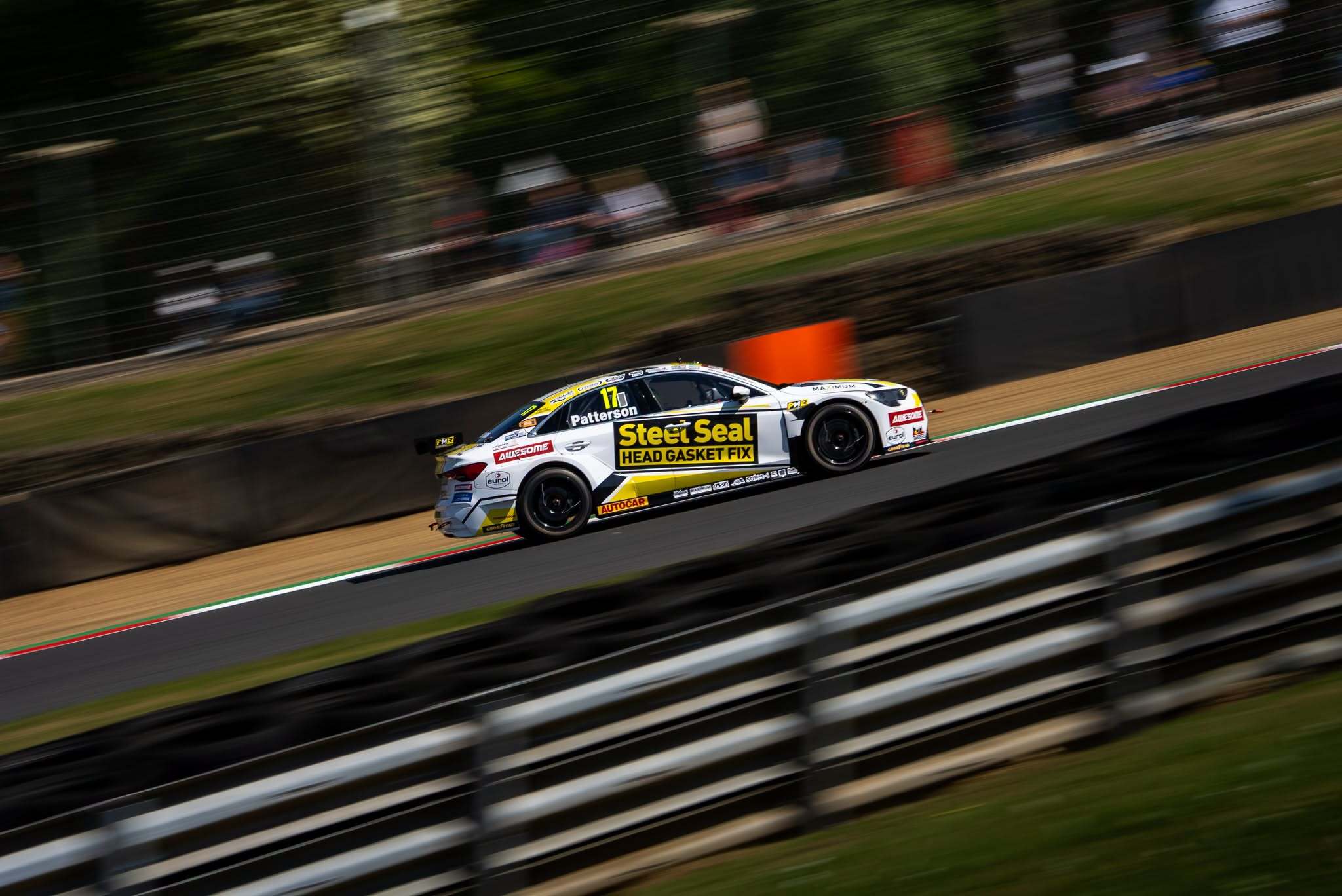 Dexter Patterson's #17 Steel Seal Power Maxed Racing Audi S3 in side profile on a sun-drenched Snetterton straight