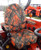 KU06 2008 and Newer Kubota series tractors. Will fit models: L3240 / L3560 / L3940 / L4060 / L4240 / L4740 / L5040 / L5240 / L5460 / L5740 / BX2370 / BX23S / BX25D / LX3310 / L3560 Cab / L6060 Cab