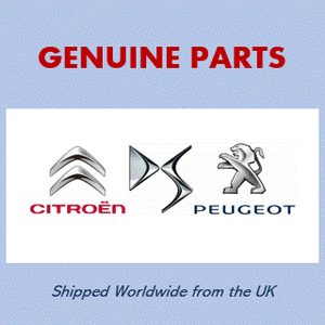 peugeot citroen 9830303580 Deflector peugeot citroen 9830303580 Deflector