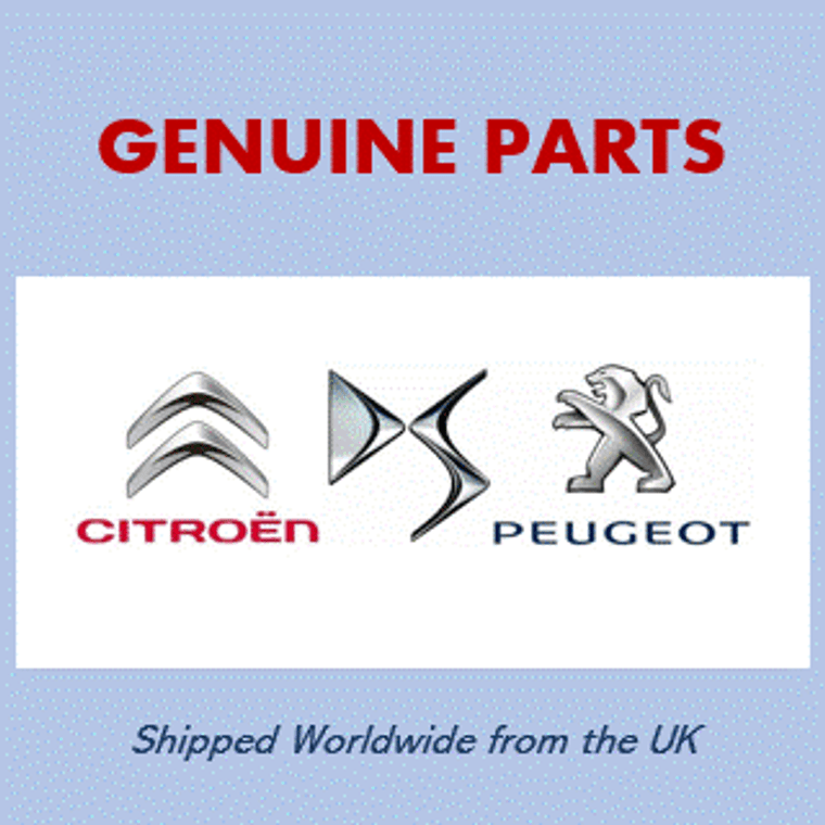 Peugeot Citroen 1637756080 Coolant