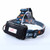 UV LED Headlamp Headlight With Battery Kit