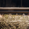 Château Estoublon olive oil production