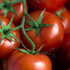 Fresh tomato