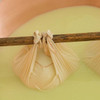Parmigiano Reggiano DOP Mitica Di Sola Bruna