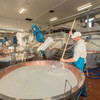 Parmigiano Reggiano DOP Mitica Di Sola Bruna