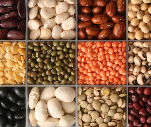 Legumes