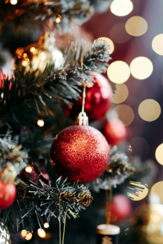 Shop All Holiday Gifts