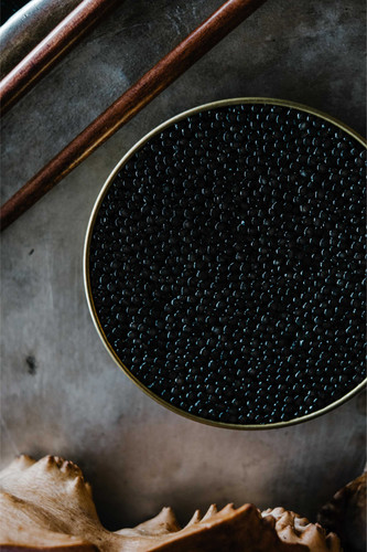 The Signature Collection