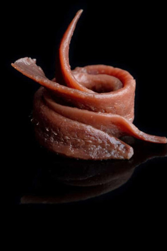 Fish & Seafood Selection