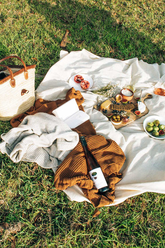 Le Picnic