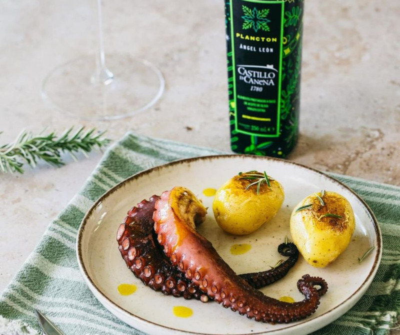 Plankton Olive Oil: The Flavor Behind This Spanish EVOO