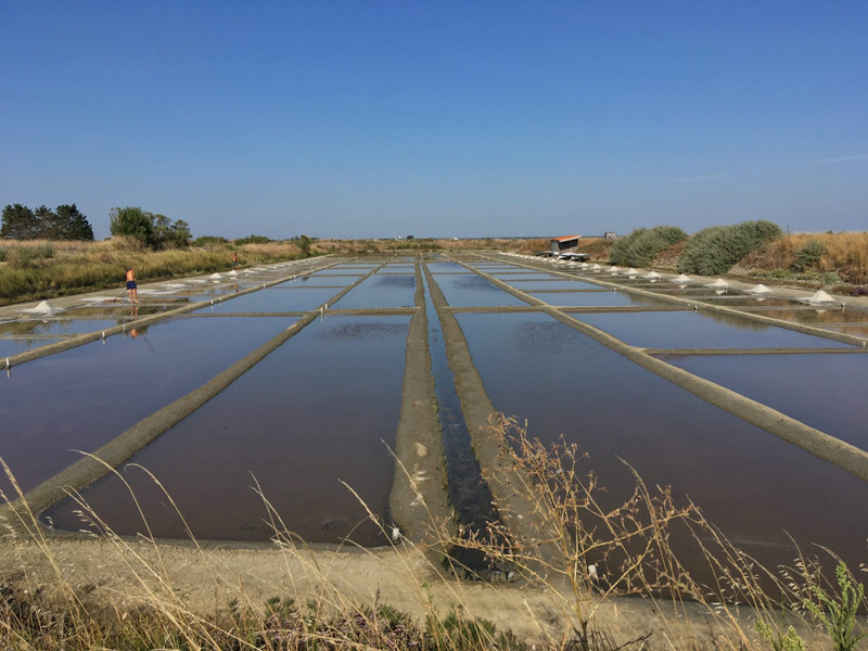 Ile de Ré: The French Island Where Salt Becomes Art