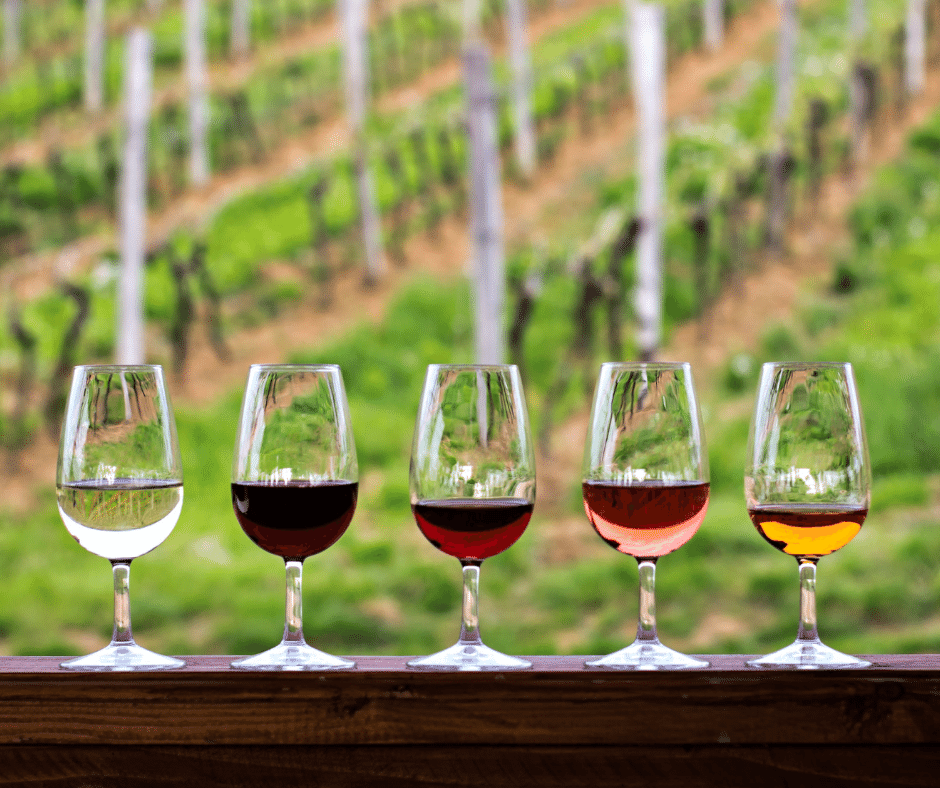 Simple Guide to Wine Tasting | Le Gourmet Central