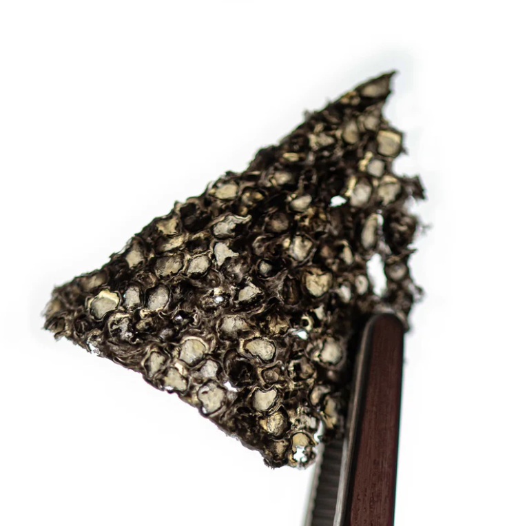 Calvisius Pressed Caviar: The Ultimate Delicacy for Gourmands