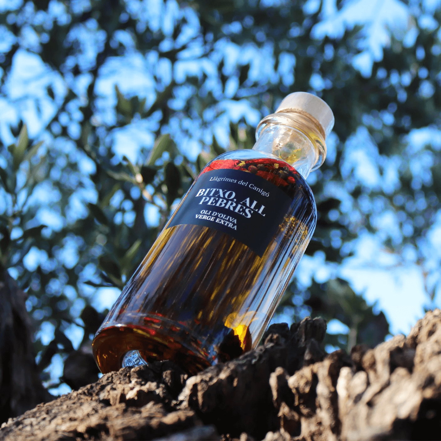 ​The Heart of Catalonian Cuisine | Le Gourmet Central