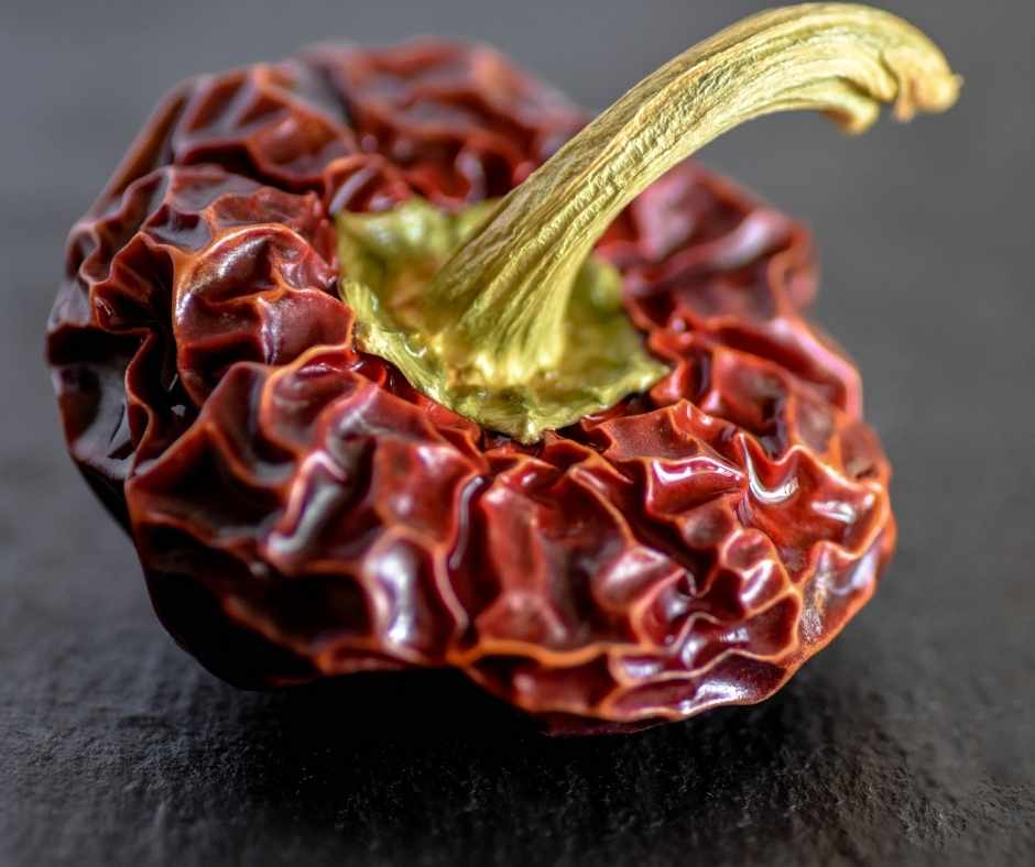 Spain’s Essential Herbs & Spices | Le Gourmet Central