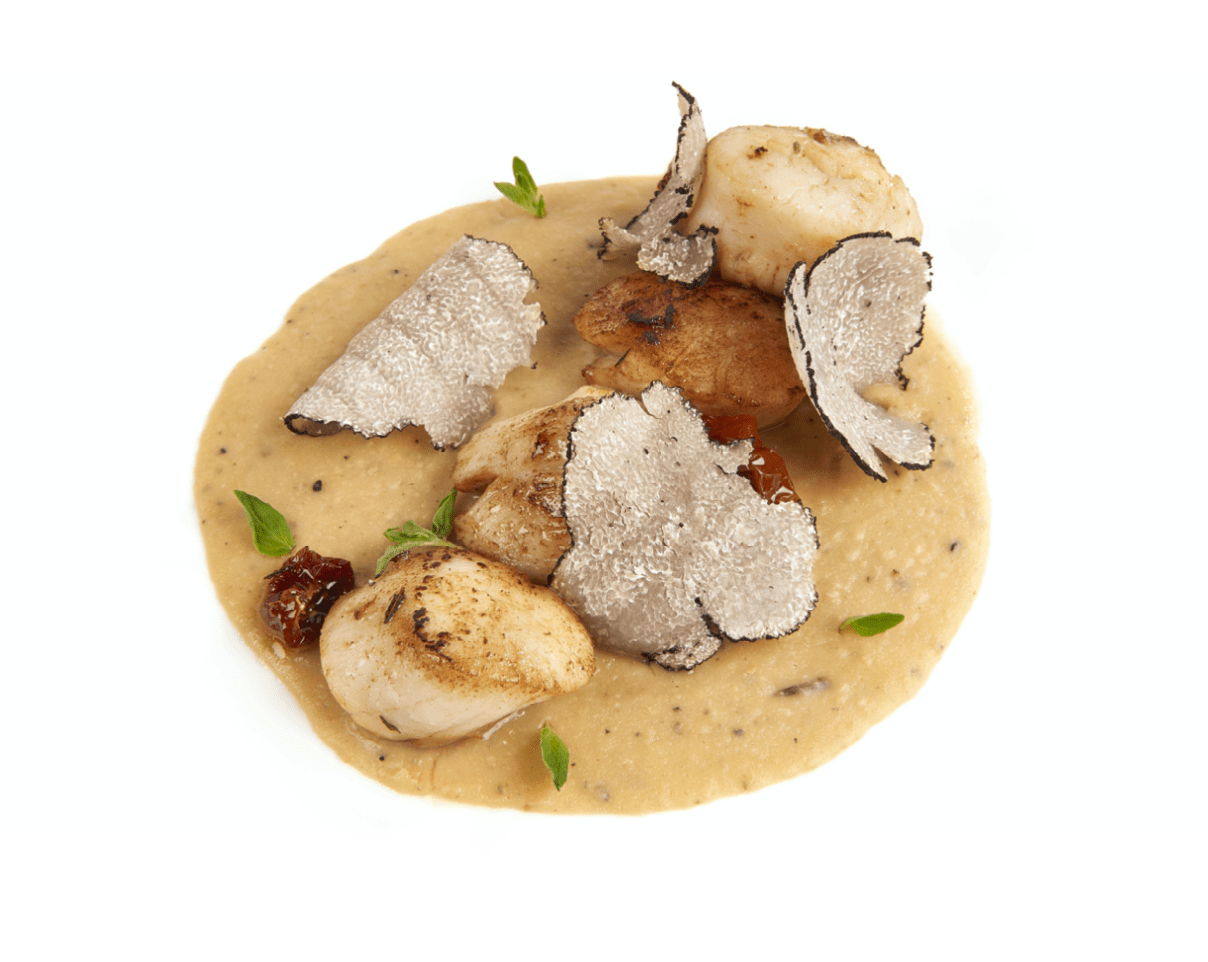 Scallops, tomato confit and chickpea with truffle recipe