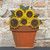 Scarecrows & Sunflowers Paint Night-Friday September 11th 6pm
