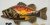 Hunting & Fishing Paint Night-Thursday September 24th 6pm