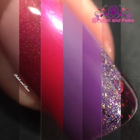 Valentine's Day Collection 2016