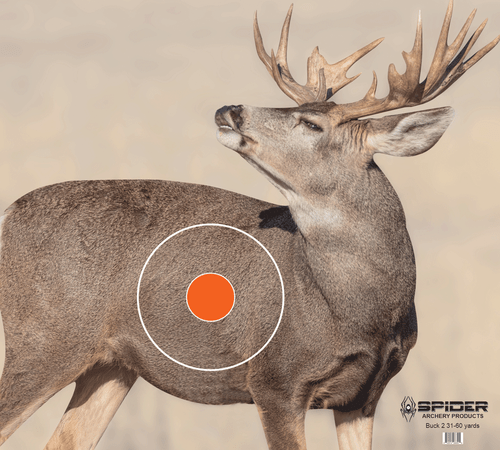Buck 2