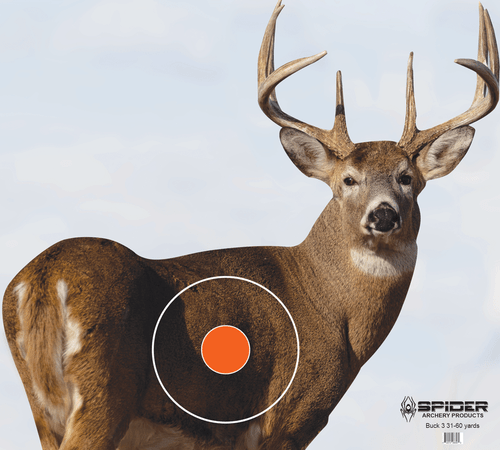 Buck 3