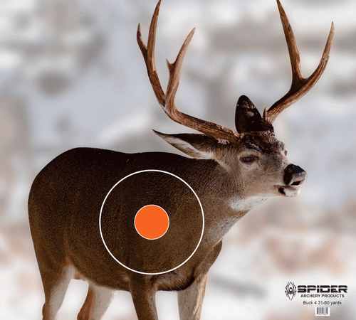 Buck 4