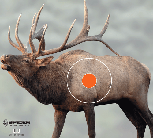 Elk 1