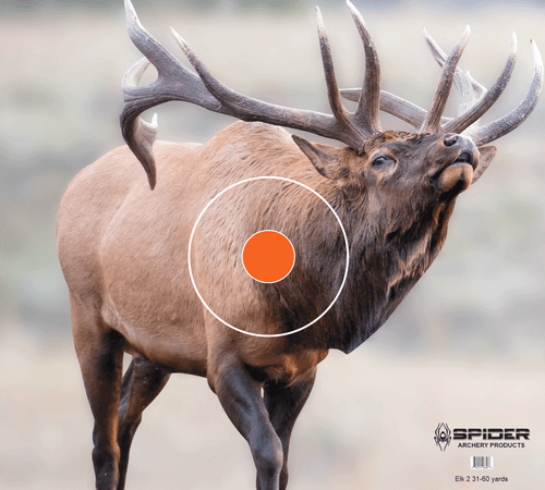 Elk 2