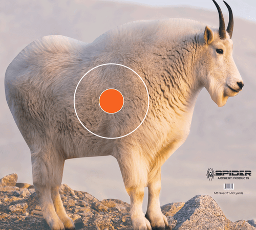 Mountain Goat
