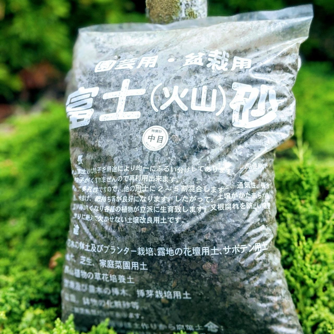 Fuji Black Lava Japanese Imported 18l At Bonsaioutlet Com
