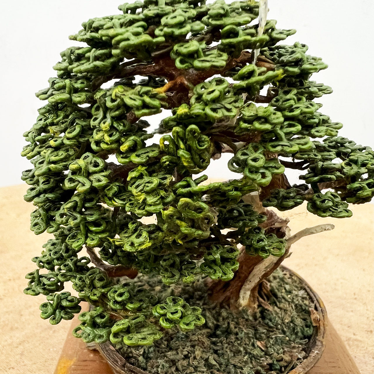 Jun Navarro Wire Bonsai Sculpture - Bonsai Outlet