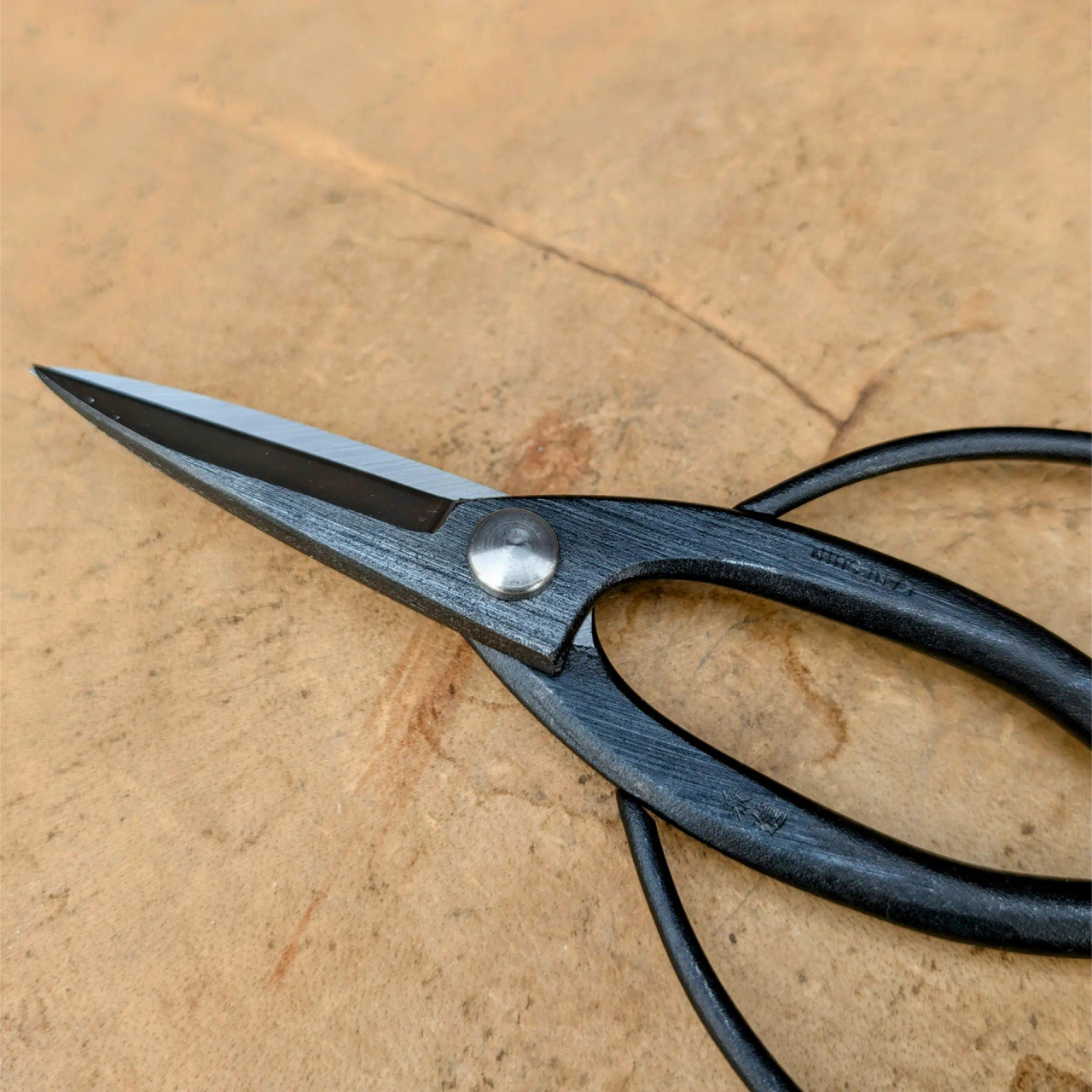 【※tashisan^_^ 】 Butterfly Root Shears by Kaneshin (No. 40f) - Bonsai Outlet
