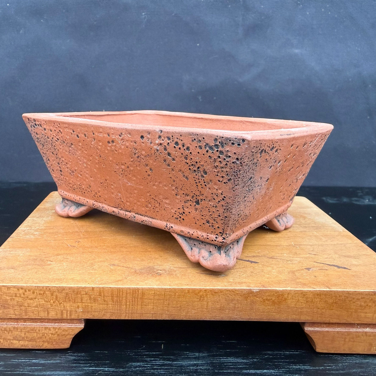 4.5 Inch Kouji Watanabe Tokoname Bonsai Pot, Dragon Rectangle
