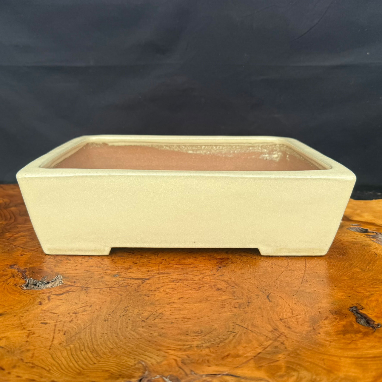 12" Yamafusa Cream Rectangle Tokoname Bonsai Pot