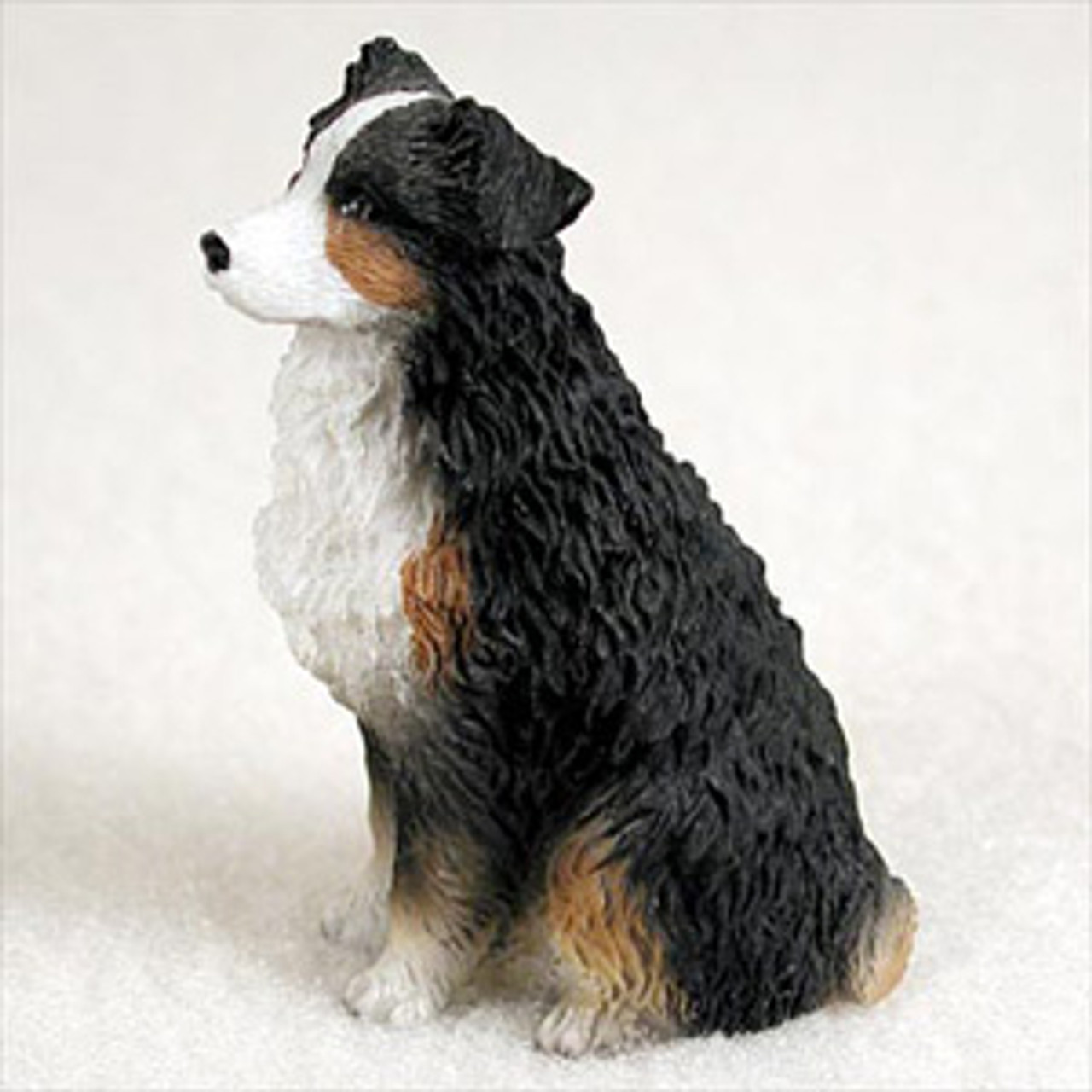 Mini australian shepherd with clearance tail