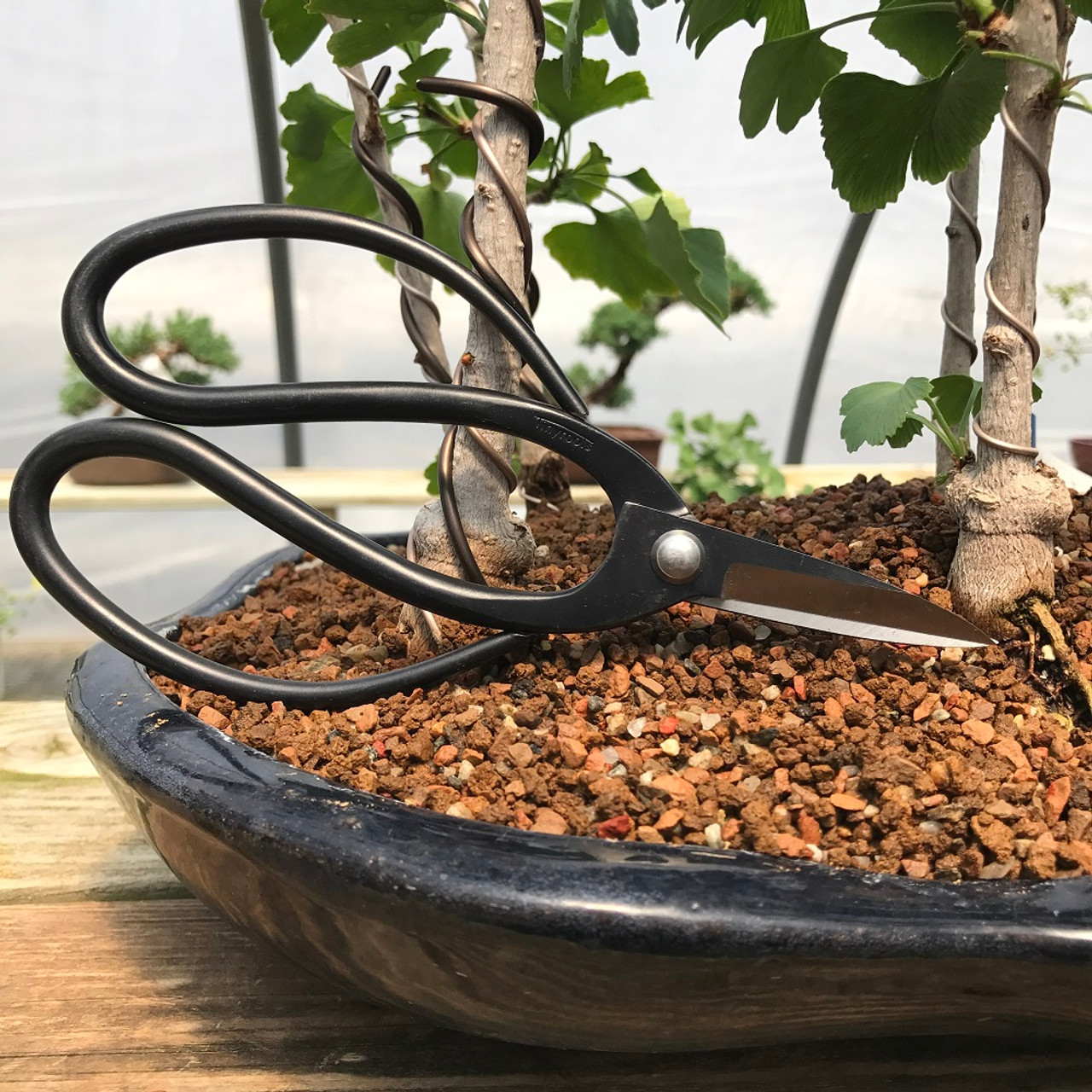 Grow1 Bonsai Shear Scissors 40mm – Grow It Depot