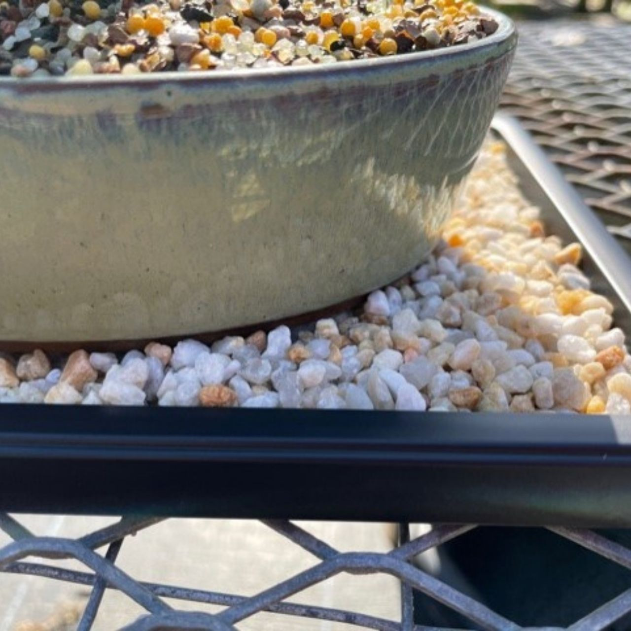 Classic Black Bonsai Humidity Tray  Protects Furniture & Catches Water 11"
