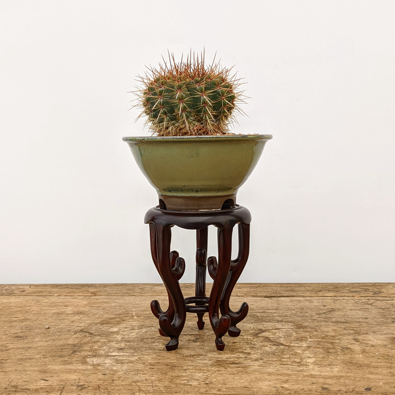 Cascade Bonsai Table | Handmade Stand | Bonsai Outlet
