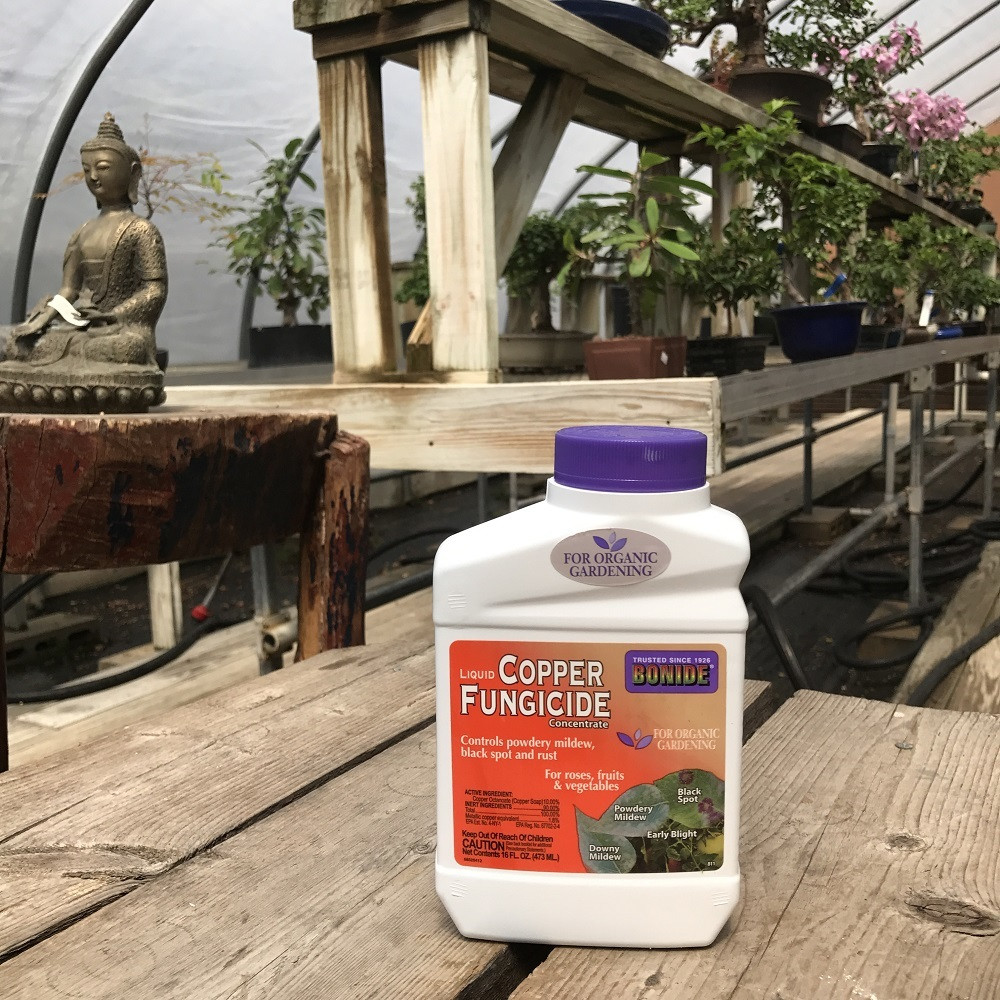 Liquid Copper Fungicide