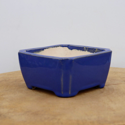 A detailed, three-quarter view of a small, square-shaped glazed bonsai pot in a vibrant, deep royal blue color. The pot features slightly outward-sloping sides, rounded corners, and four small, sturdy feet at the base. Its glossy blue exterior finish has subtle variations where the lighter ceramic body shows through at the edges and feet. The interior of the pot is unglazed, revealing a pale, off-white clay material, providing a porous surface ideal for bonsai tree roots. The pot is positioned on a light-toned wooden surface against a plain, neutral background, highlighting its clean lines and rich color, typical of a high-quality ceramic bonsai container.