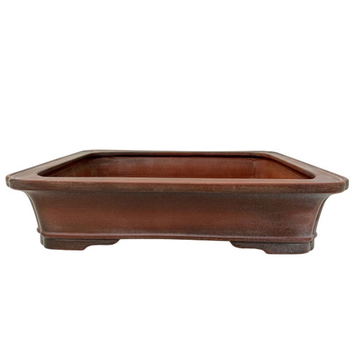 Bonsai Pots Containers And Planters To Display Your Trees Beauty