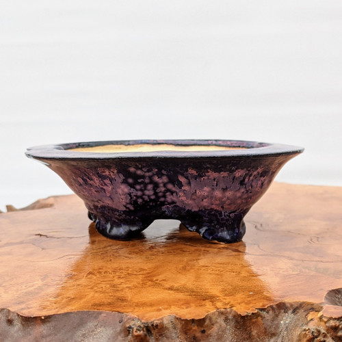 6 inch oval handmade bonsai pot by Roy Minarai in a mottled purple indigo glaze