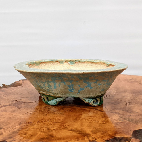 6 inch oval handmade bonsai pot by Roy Minarai in seafoam blue and sandy tan