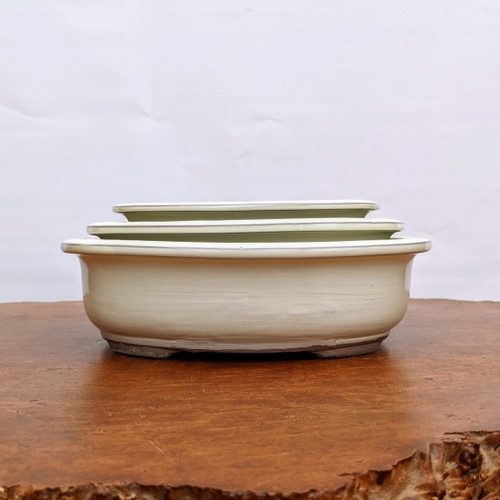 Three nested cream glazed oval bonsai pots on a polished wooden table