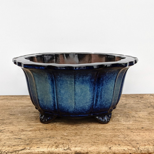 A high-angle studio shot features a deep, round blue glazed bonsai pot resting on a weathered, light-brown wooden surface. The ceramic pot is characterized by a decorative scalloped rim and fluted, lobed sides that create a classic, elegant silhouette. The glaze is a rich, vibrant cobalt blue with darker, near-black accents along the top edge and on the three small, ornamental feet that elevate the pot. Subtle mottled patches of lighter blue provide a weathered, handcrafted texture across the glossy surface. The interior of the pot appears dark and unglazed. Centered against a clean, solid white background, the pot's bold color and detailed craftsmanship are highlighted by soft, even lighting, making it an ideal choice for a sophisticated bonsai presentation.
