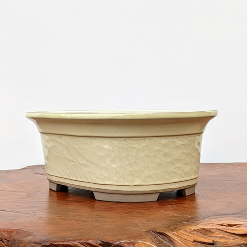An elegant, oval-shaped ceramic bonsai pot with a glossy cream glaze, resting on a polished burl wood slab. The pot features a subtle, hammered texture and soft vertical ridges along its body, topped with a distinctively flared rim. Its creamy, off-white finish gives it a handcrafted, timeless look. The container is supported by four small, unglazed feet that provide elevation and contrast against the warm, dark tones of the natural wood base. Set against a clean, minimalist white background, the image highlights the fine craftsmanship and neutral aesthetic of the pot, making it suitable for a variety of bonsai tree styles.