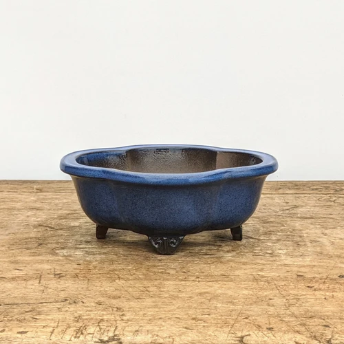 7 inch blue glazed Yixing bonsai pot in a scalloped moku oval shape